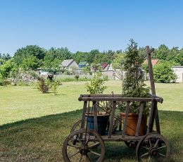 garten_hinten_1.jpg