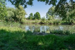 oegeln-spree-angelplatz.jpg