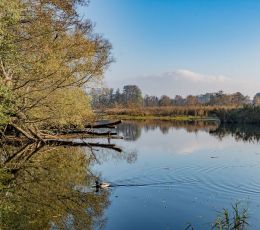 beeskow-stadt-angeln-spree.jpg