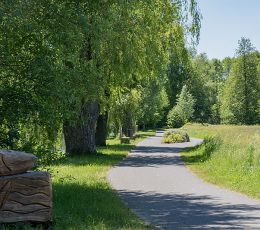 radweg-in-beeskow-an-der-spree.jpg