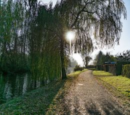 beeskow_stadt_an-der-spree.jpg