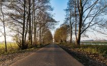 oegelnfliess-straße-richtung-schneeberg_klein.jpg